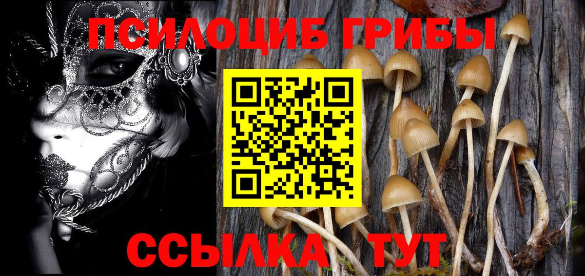 как найти наркотики  Галлюциногенные грибы мухоморы  Вход с VPN  Черкесск 
